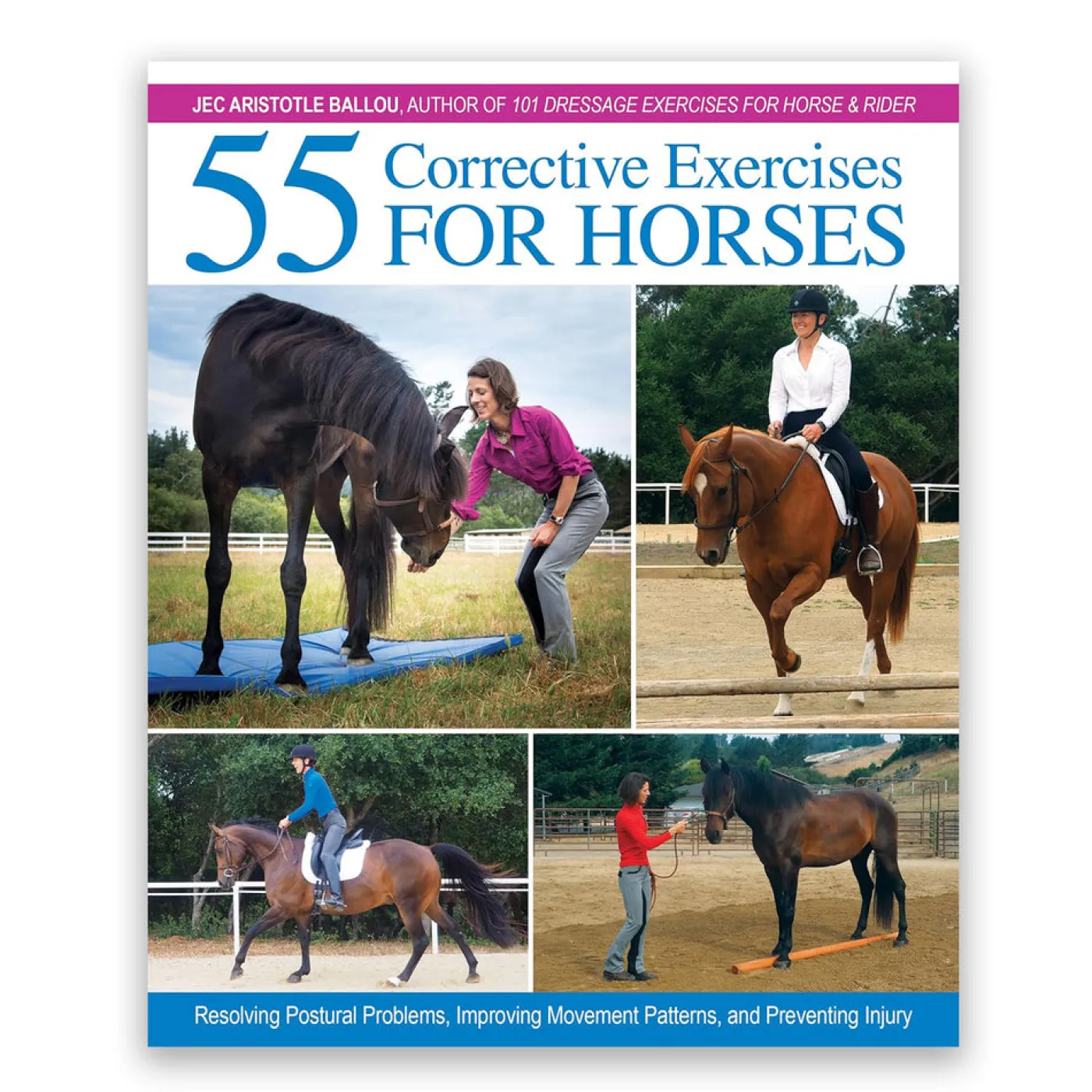 Trafalgar Square 55 Corrective Exercises for Horses