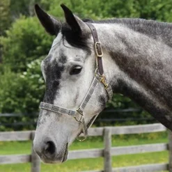 Curvon 5A Baker Breakaway Halter W/ Leather Crown