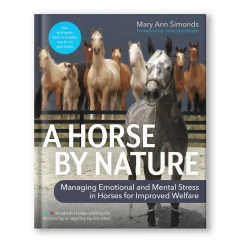 Trafalgar Square A Horse By Nature