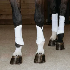 Anatomeq AirGuard Brush Boots