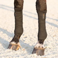 Anatomeq PoloPillows