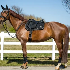 Back on Track Haze Collection Saddle Pad