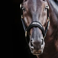 Back on Track Werano Halter