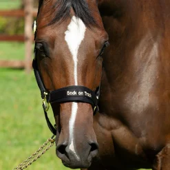 Back on Track Werano Halter