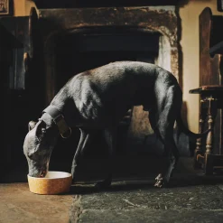 Beco Pets Beco Classic Bamboo Bowl