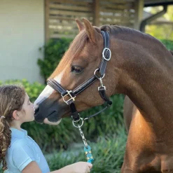Belle & Bow Fancy Stitched Pony Halter