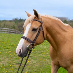 Belle & Bow Sugarbrook Wide Noseband Pony Bridle