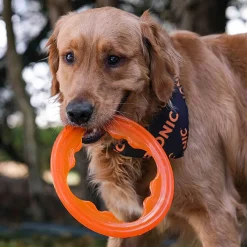 Bionic Toss-N-Tug Turbo