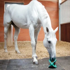 Bizzy Horse Bizzy Ball Horse Toy