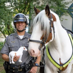 Breyer Traditional Legend