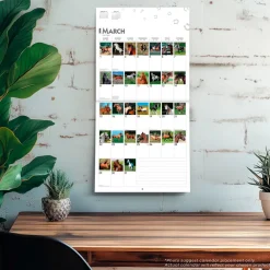 BrownTrout Publishers BrownTrout 365 Days of Horses 2026 Square Calendar