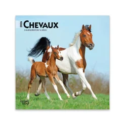 BrownTrout Publishers BrownTrout Chevaux 2026 Mini Calendar