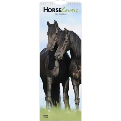 BrownTrout Publishers BrownTrout Horse Lovers 2026 Slimline Calendar