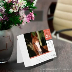 BrownTrout Publishers BrownTrout Horse Lovers 2026 Box Calendar