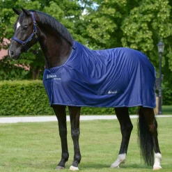 Bucas Pony Power Cooler