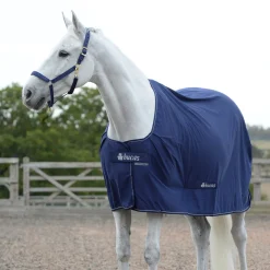 Bucas Pony Power Cooler