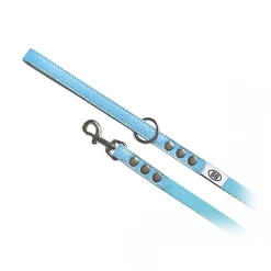 Buddy Belts Buddy Belt Accent Leather & Nylon Leash 1.3 cm x 1.2 m