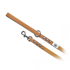 Buddy Belts Buddy Belt Accent Leather & Nylon Leash 1.3 cm x 1.2 m