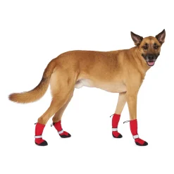 Canada Pooch Soft Shield Boots