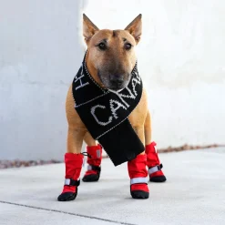 Canada Pooch Soft Shield Boots