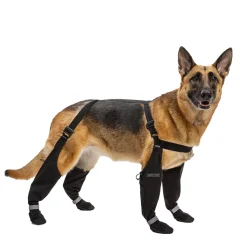 Canada Pooch Suspender Boots - Size 2