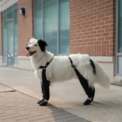 Canada Pooch Suspender Boots - Size 1