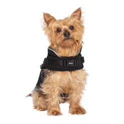 Canada Pooch The Harness Puffer