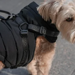 Canada Pooch The Harness Puffer