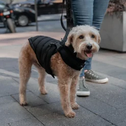 Canada Pooch The Harness Puffer