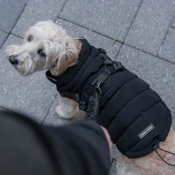 Canada Pooch The Harness Puffer