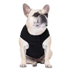 Canada Pooch Ultimate Stretch Vest