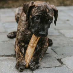 Greenhawk Equestrian Sport Canophera Wood Dog Chew