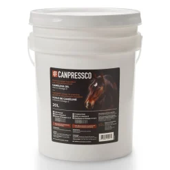 Canpressco Camelina Oil 20 L