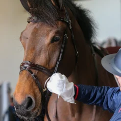 Carr & Day & Martin Belvoir Cleaning Mitts - Package of 10