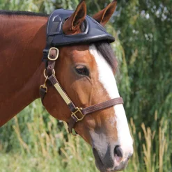 Cashel Horse Helmet