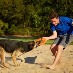 Chuck It Chuckit! Rugged Flyer Dog Toy