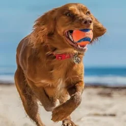 Chuck It Chuckit! Ultra Ball Medium - Pack of 2