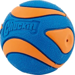 Chuck It Chuckit! Ultra Squeaker Ball Dog Toy