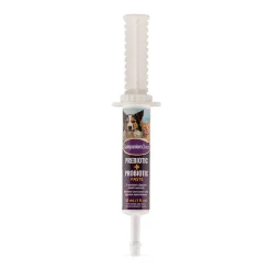 Equine Choice Companion's Choice Prebiotic & Probiotic Paste Pet Supplement 30 mL