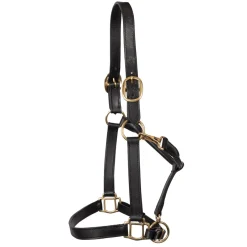 Connemara Leather Halter