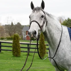 Connemara Standing Martingale
