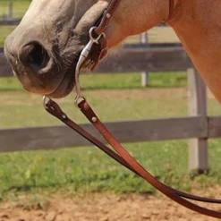 Copper Canyon Bridle Leather Split Reins W/ Chicago Screws