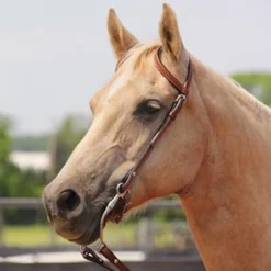 Copper Canyon Finished Leather Double Ear Headstall W/ Chicago Screws