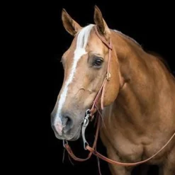 Copper Canyon Harness Leather One Ear Headstall W/ Ties