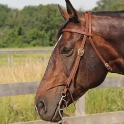 Copper Canyon Harness Leather Browband Headstall W/ Ties