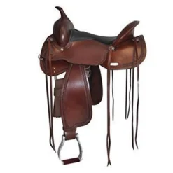 Copper Canyon Trail Saddle