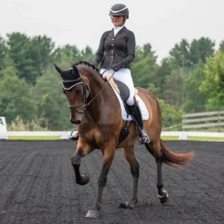 Elation Diamond Gramercy Full Seat Show Breech