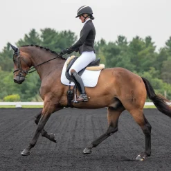 Elation Diamond Gramercy Full Seat Show Breech