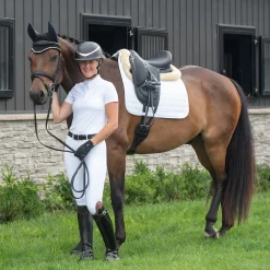 Elation Diamond Gramercy Full Seat Show Breech