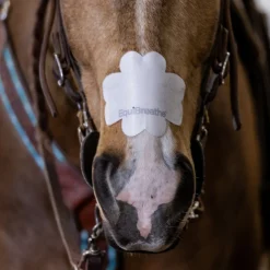 Equibreathe Nasal Patch